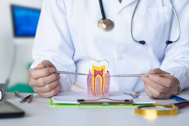 Best Walk-In Emergency Dental Services in Chanute, KS